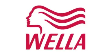 Sandro Hair Stylist Salon De Coiffure Styliste A Namur Pres De Jambes Wella